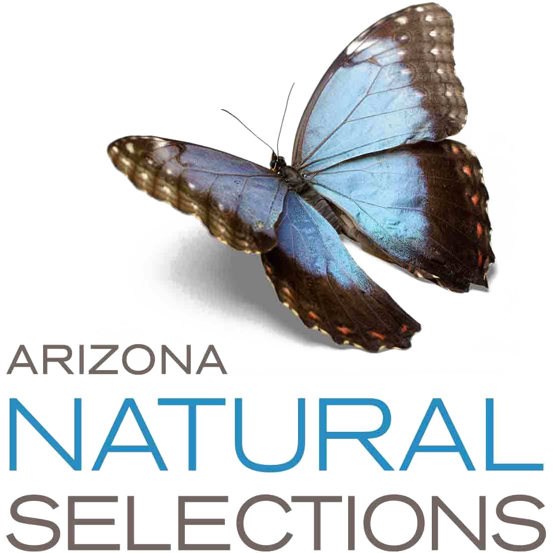 arizona natural selections