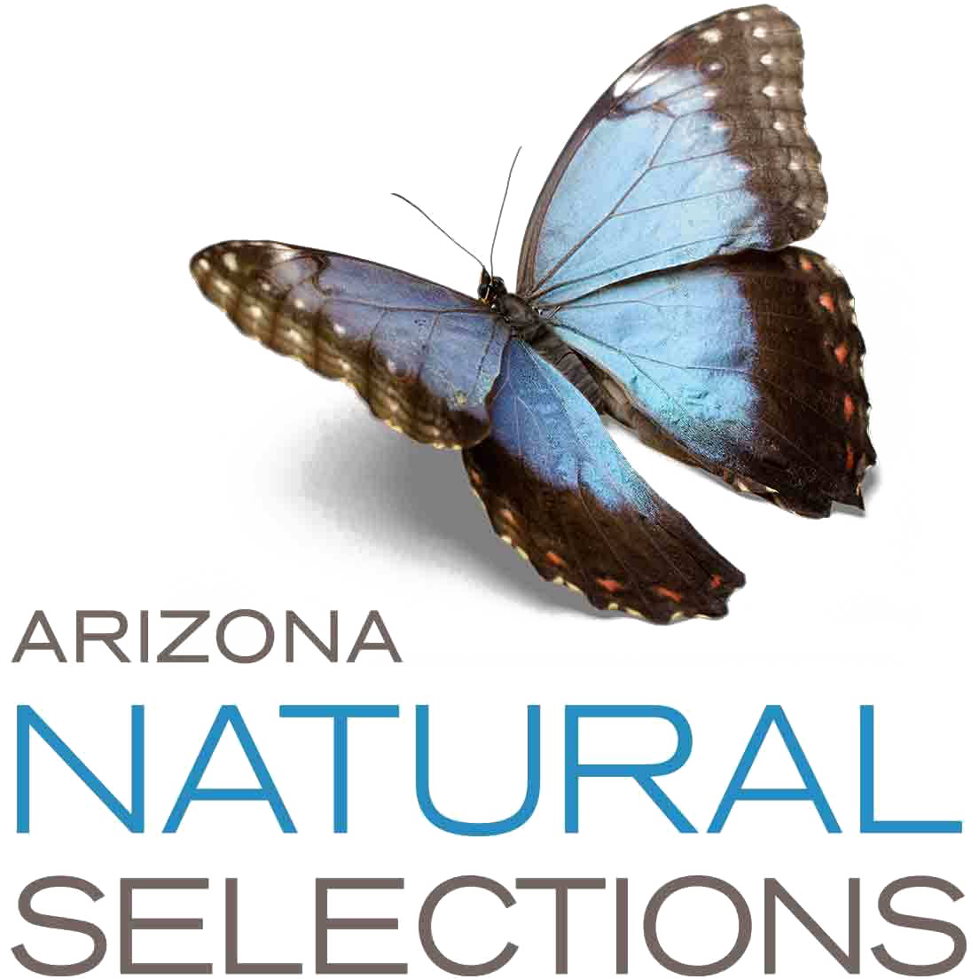 arizona natural selections